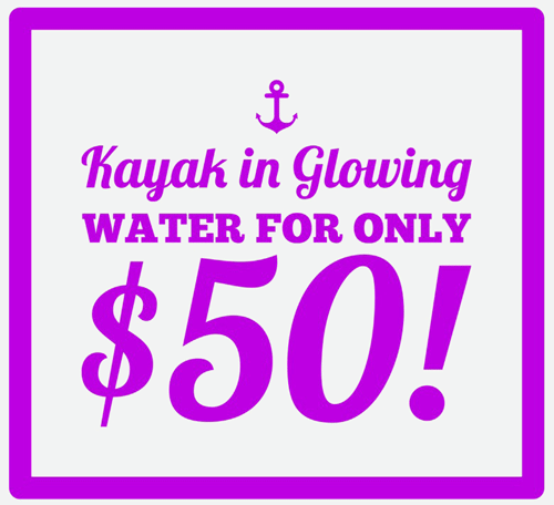 Experience the glowing waters of Fajardo Puerto Rico for only fifty USD
