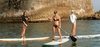 paddleboard in the clear lagoon waters that a family of manatees call home